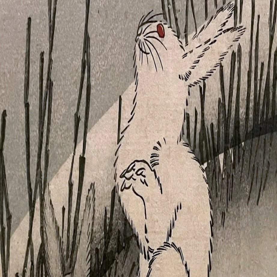 トーハクの兎の視線の先には何がある？｜かわかわ