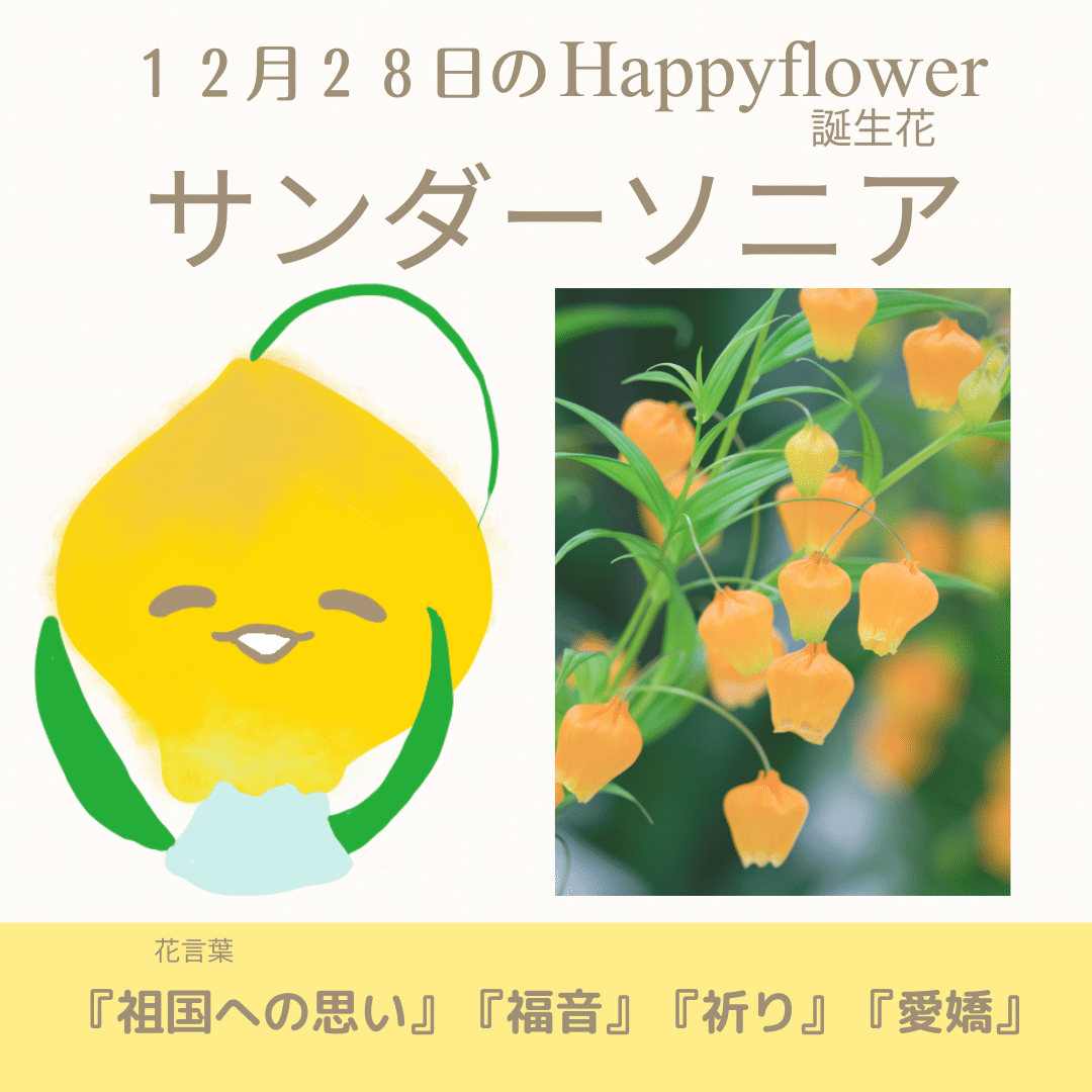 12月28日の誕生花と花言葉でおめでとう イラスト 写真 森田はぐみdesign イラストレーター Note