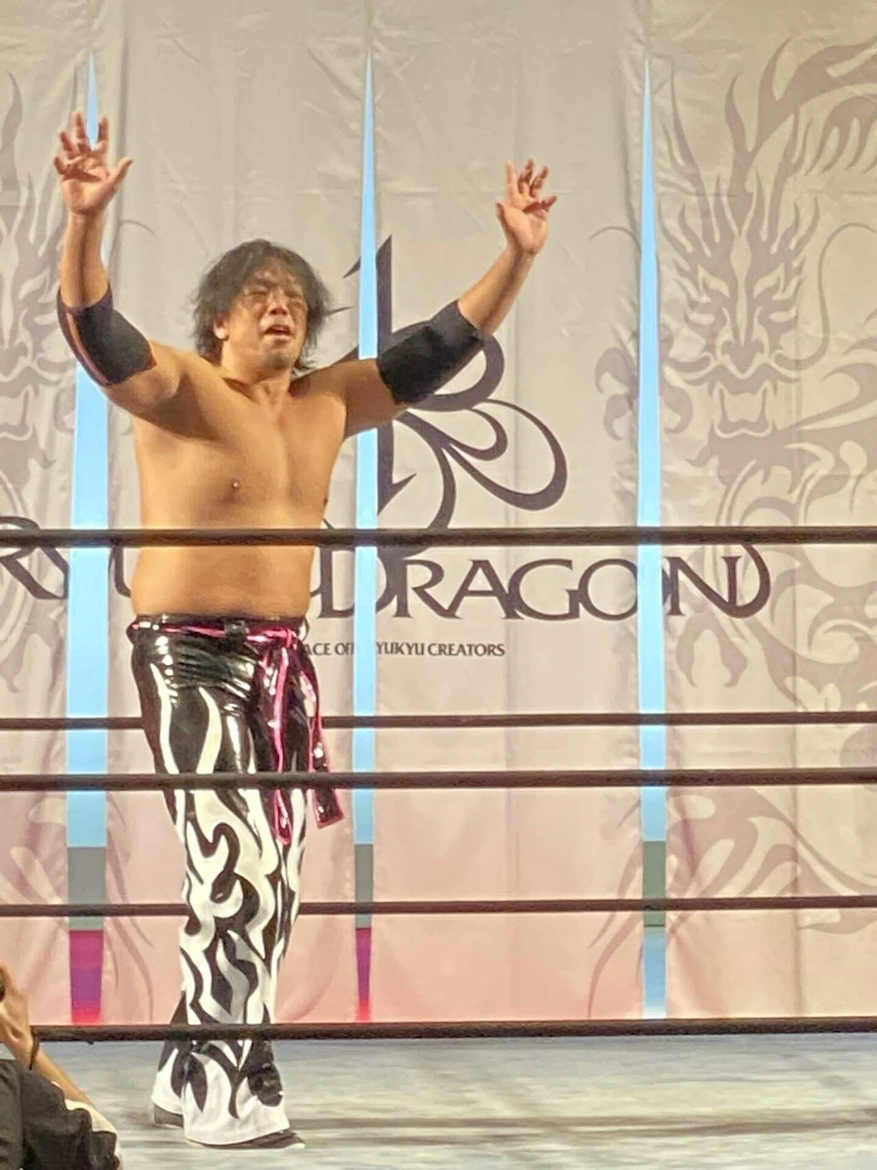 プロレスの熱い風が糸満の寒さを吹き飛ばした！そんな1日の物語 