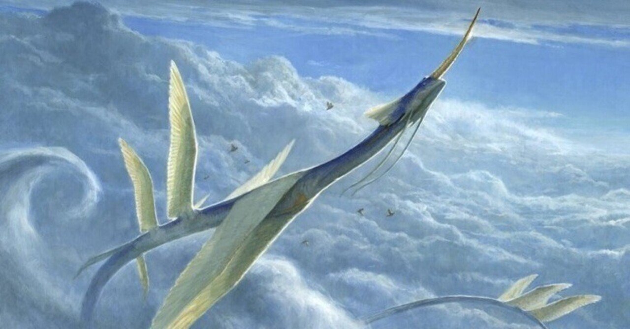 MTG 空を放浪するもの、ヨーリオン Foil ロシア語 MTG 空を放浪する