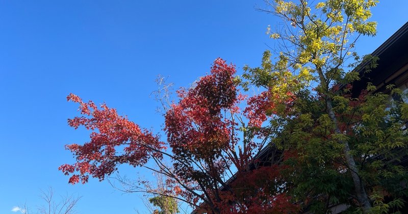 賀東招二               賀東招二