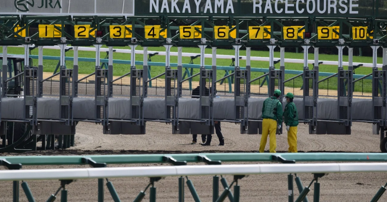 全頭考察の色について｜FULLGATE@嵐山競馬
