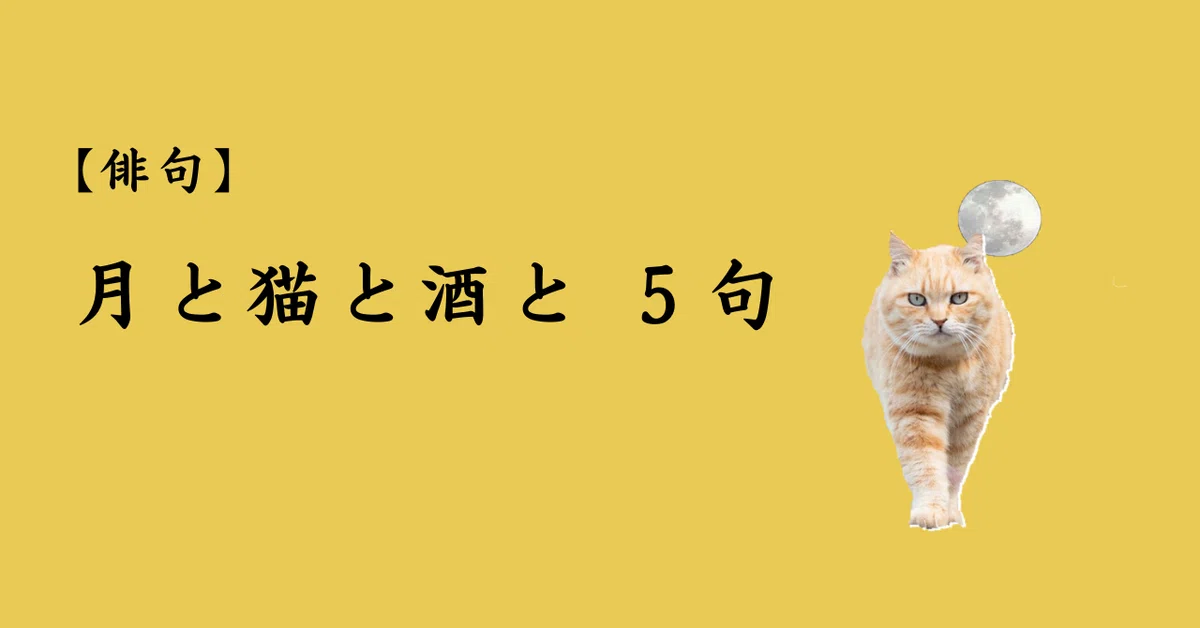 俳句 月と猫と酒と 5句｜薄楽俊