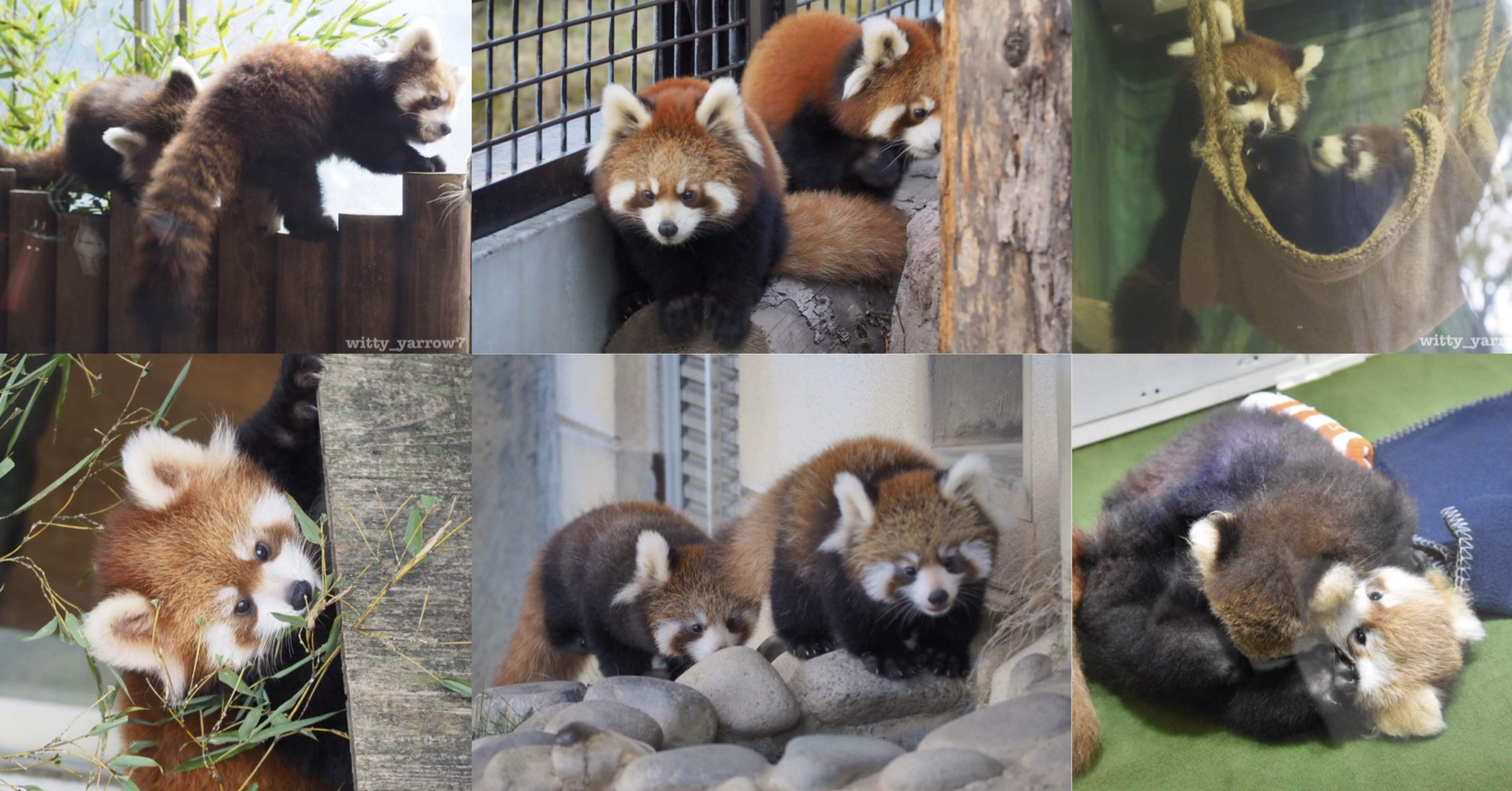 51a2d1203cc70d9b5b8891f4b78afe