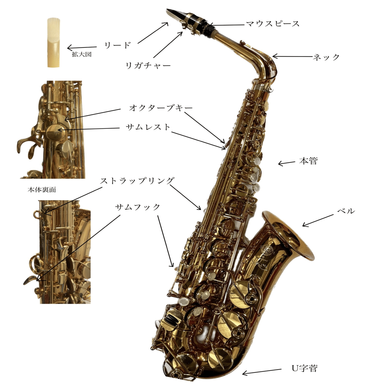 2 サックスはどんな楽器?｜古野充晴