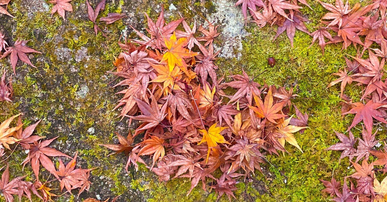 この通りに巡れば間違いない！広島県・宮島の1日観光プラン｜Riho✍️編集者ライター｜noteの画像