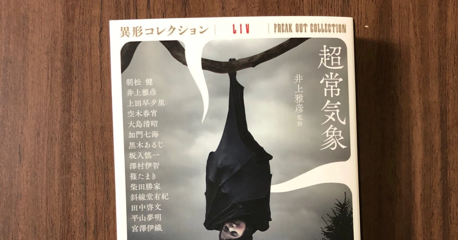 読書日記・2022年の振り返り【小説編】｜早高叶