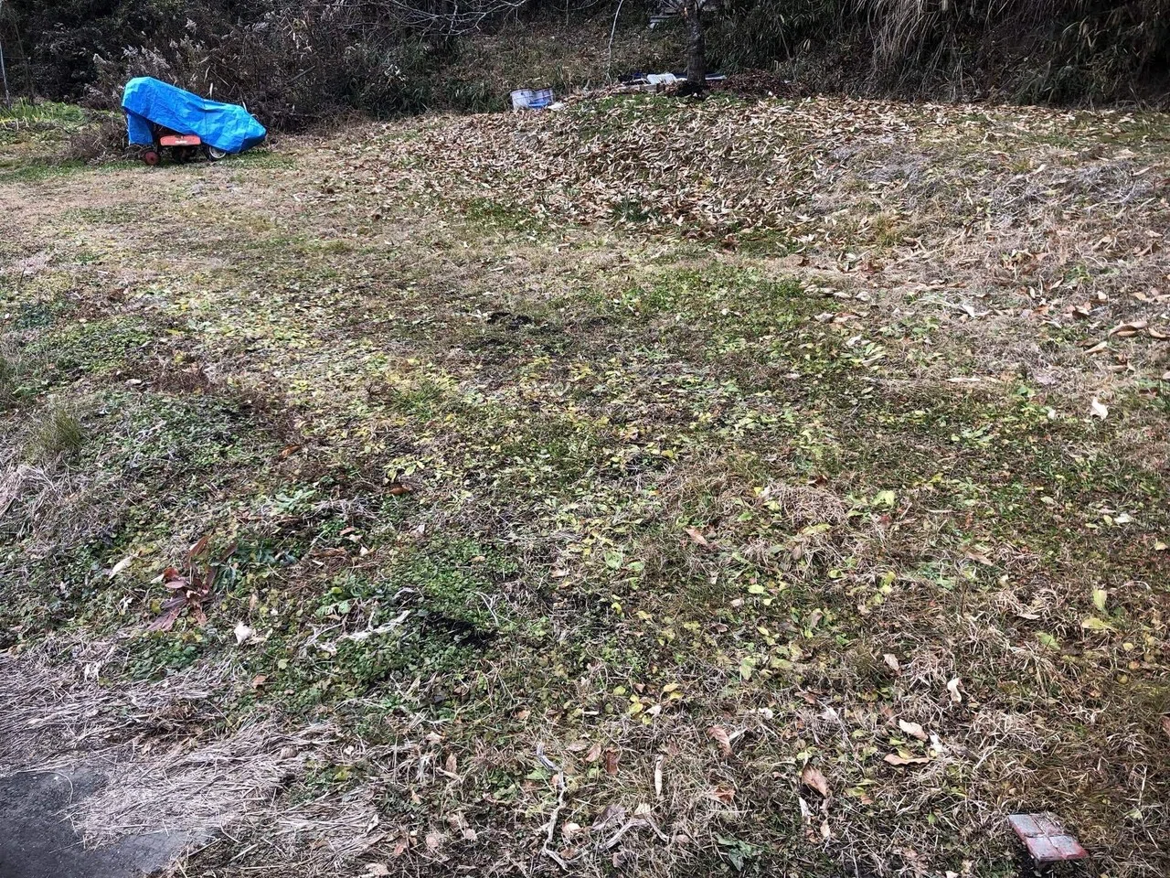 今年もご覧いただきありがとうございました｜MUNA_FARM 無農薬自給自足