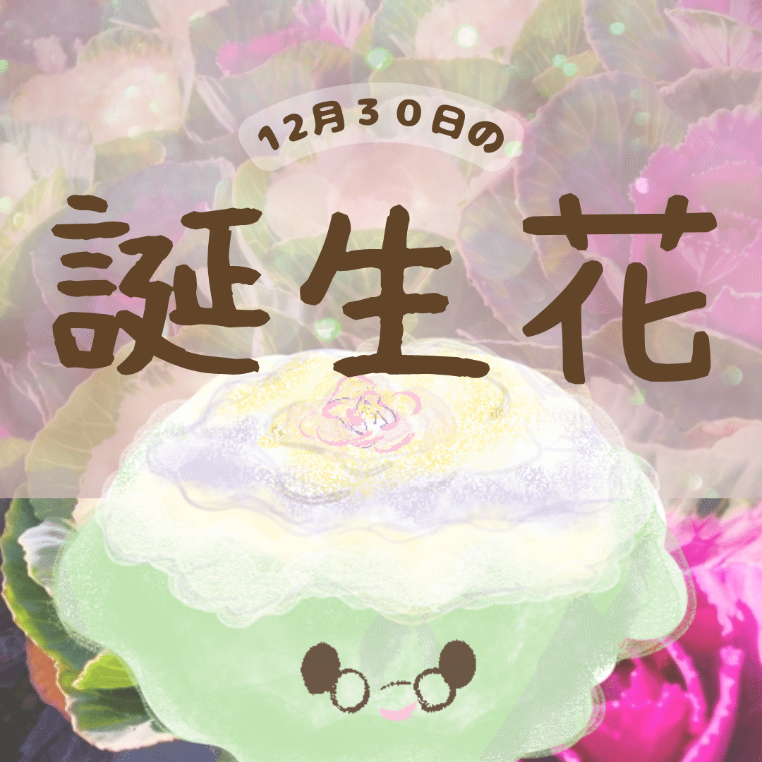 12月30日の誕生花と花言葉でおめでとう イラスト 写真 森田はぐみdesign イラストレーター Note
