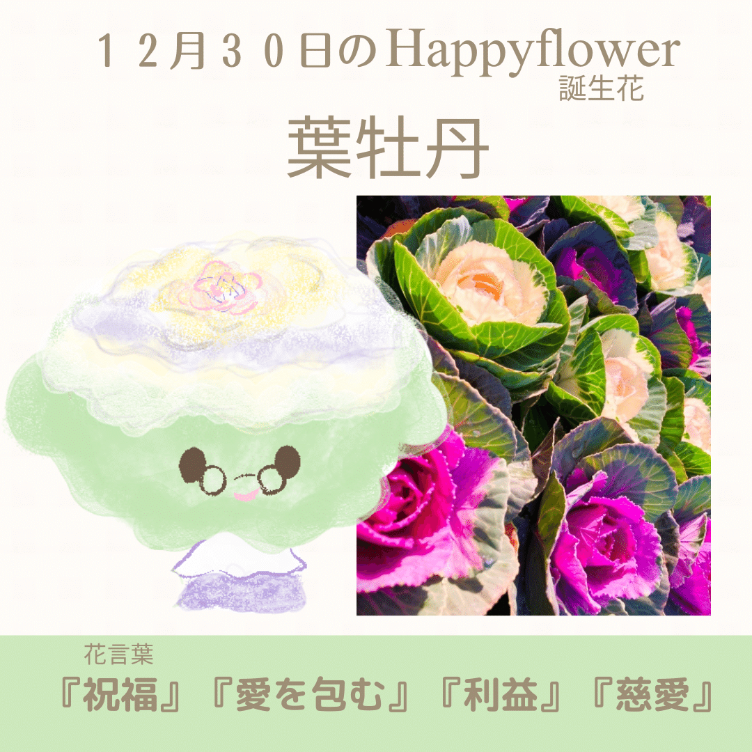12月30日の誕生花と花言葉でおめでとう イラスト 写真 森田はぐみdesign イラストレーター Note