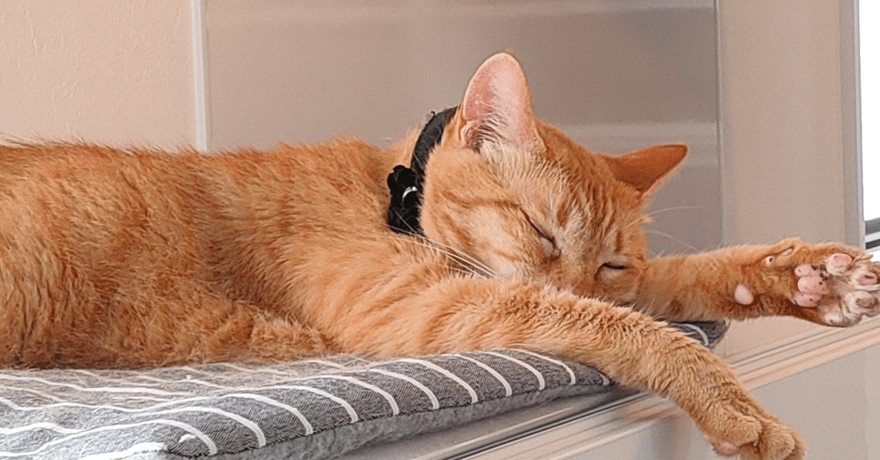 贈与金 財団運用バージョン|初夜権そのほか研究室|note