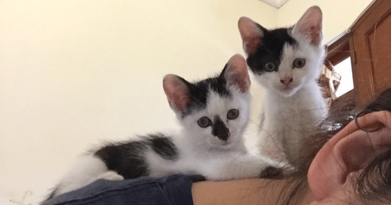 恋愛 英語クラスの物語 800 恨みを抱く 根に持つ 執念深く恨む Plot 47 Note