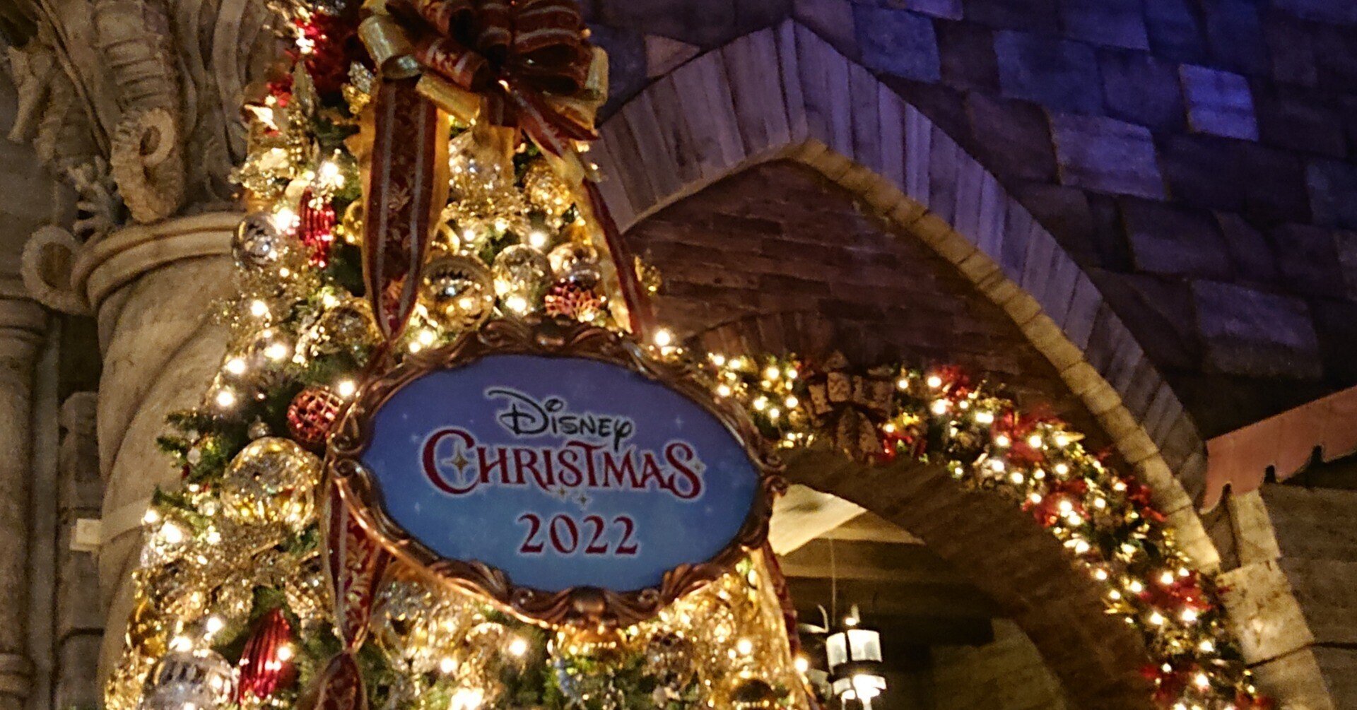 冬休みはディズニーシーさ行ってきただ おぎゃみ Note 冬休みはディズニーシーさ行ってきただ おぎゃみ Note