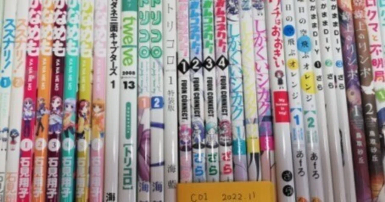 本の収納に最適なダンボール箱のサイズは390mm×225mm×155mmかもしれない｜杉本＠むにゅ10号