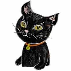 kaji_yocoかじよこ