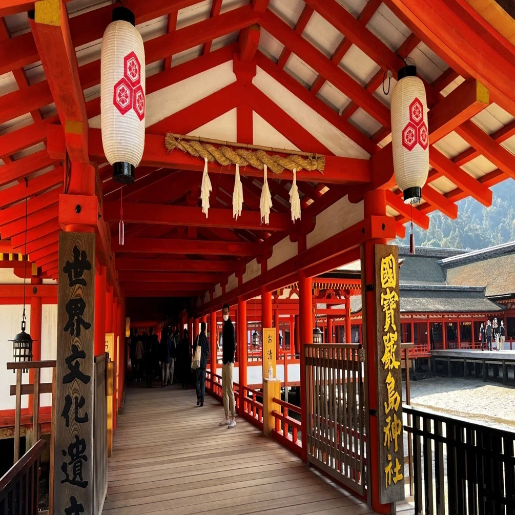 広島宮島旅】宮島の厳島神社絶景です！ 紅葉谷公園は、まさに紅葉