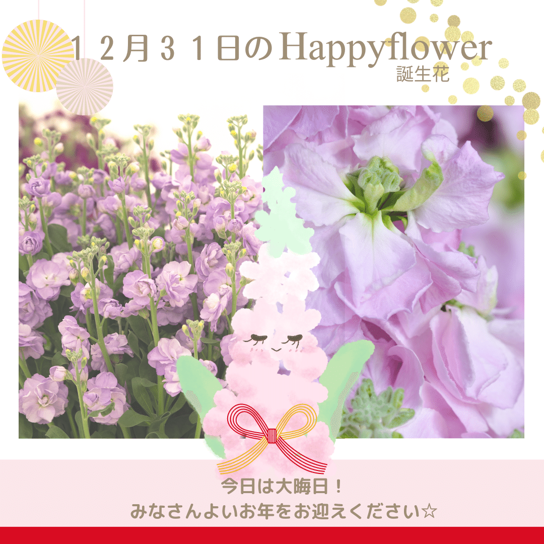 12月31日の誕生花と花言葉でおめでとう イラスト 写真 森田はぐみ イラストレーター Hanapopdesign Hug Note