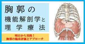 胸郭 統合アプローチ | Diane Lee, 石井 美和子 |本 | 通販 | Amazon
