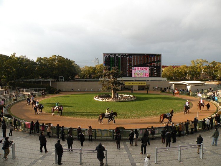 また関西競馬遠征がしたいなあ…と思いつつ。まん丸なパドックが特徴的です