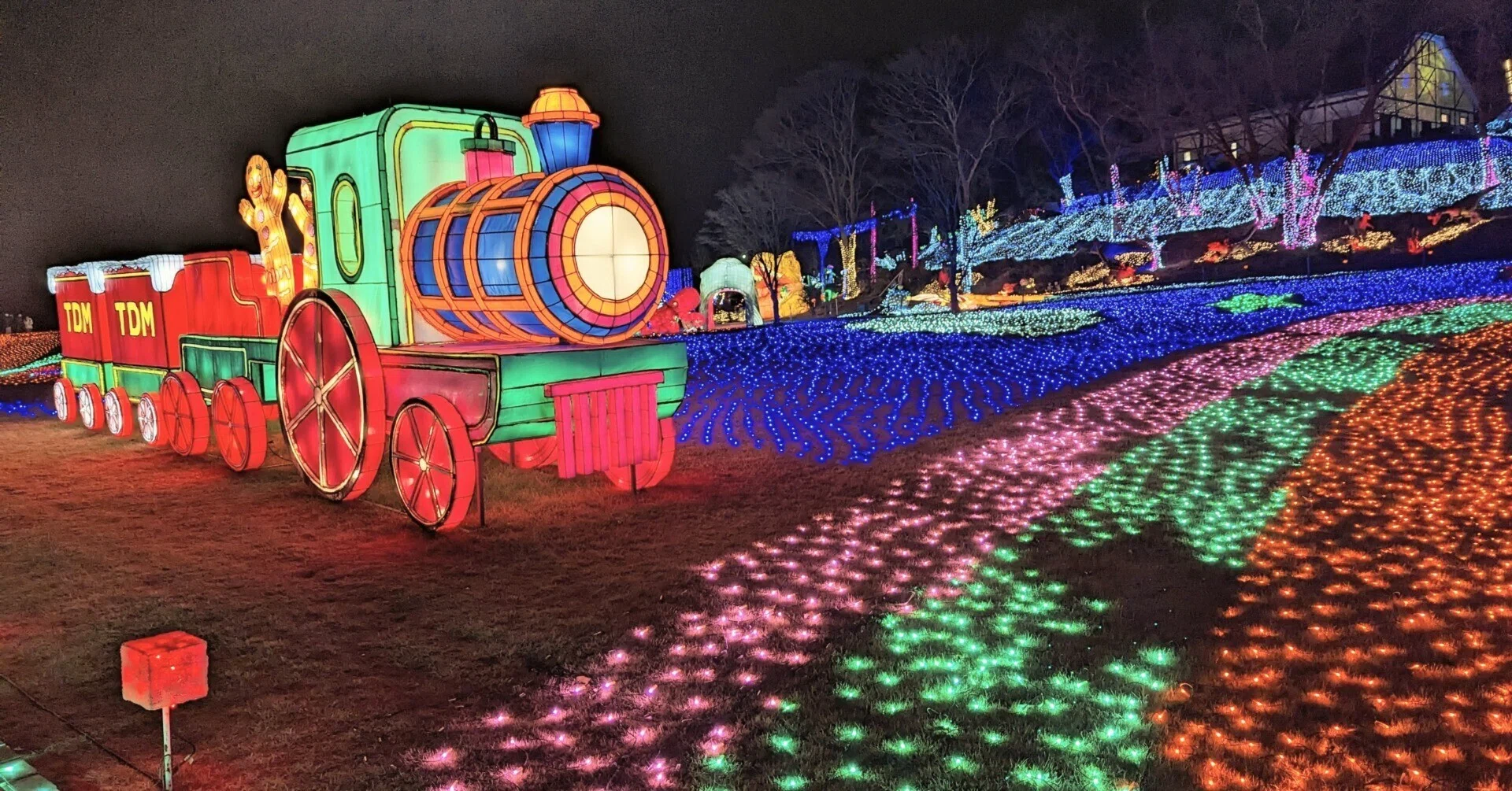 東京ドイツ村のイルミネーション｜サカモトダイジ