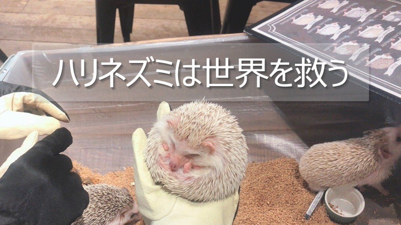 ハリネズミはまじで世界を救う Akira Note ハリネズミはまじで世界を救う Akira Note