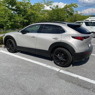 マイジェル・ナンセル