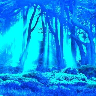 闇を照らし浄化する聖なる光