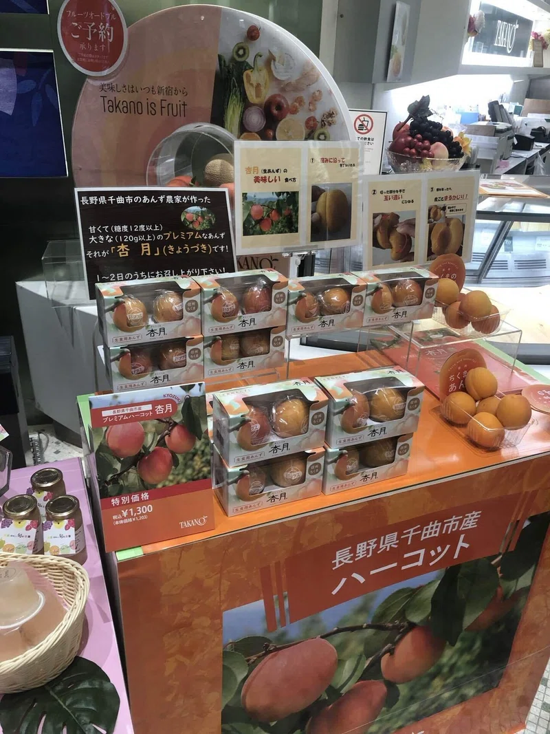透かし模様入り あけびのかごバッグ(長野県産/希少な国産品) 分る
