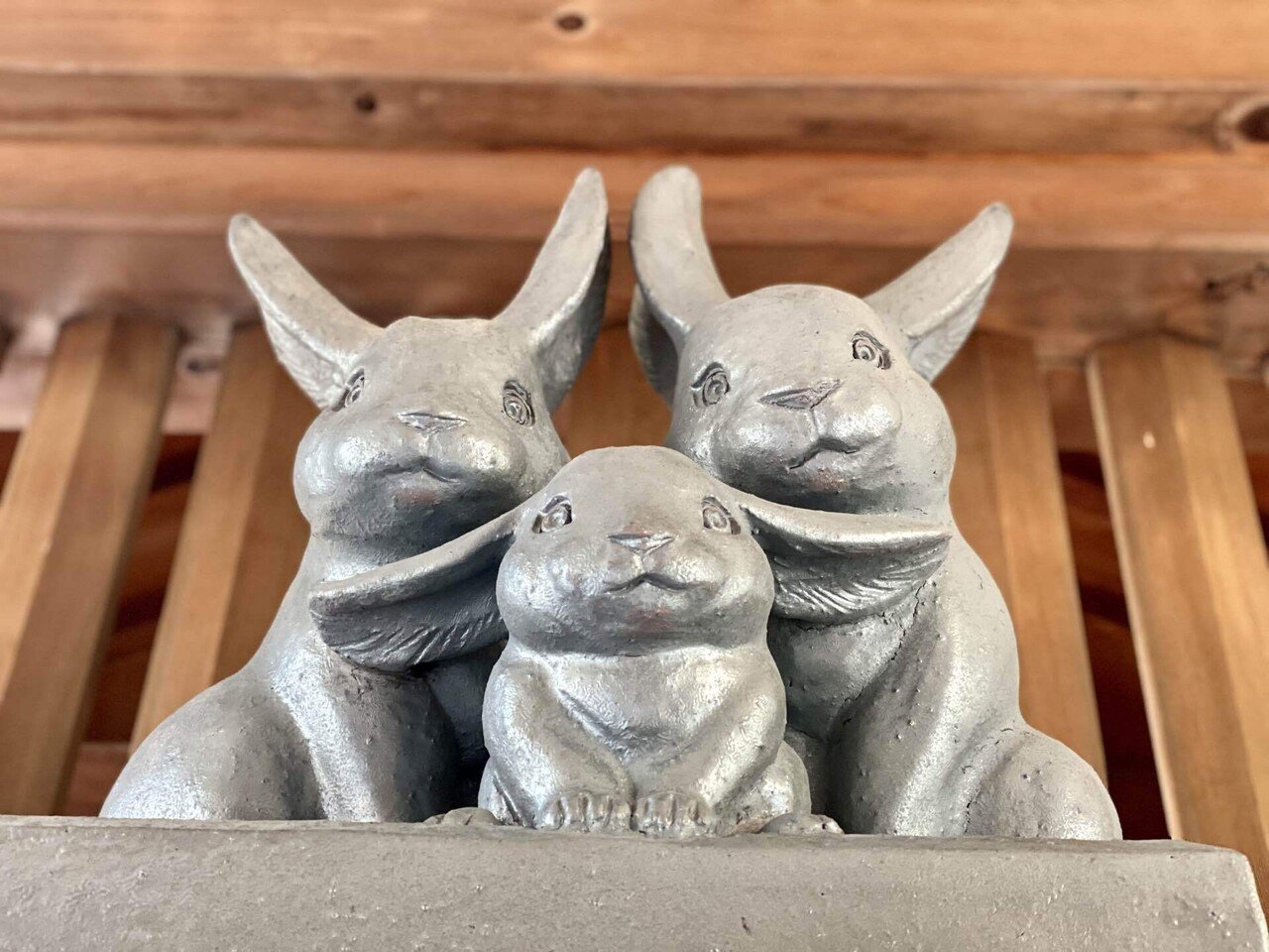 今年は兎年！ウサギがいる可愛い神社をご紹介🐰【新潟・栃木】｜斎藤えな