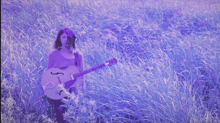 FLOWER [2012] 踊ってばかりの国 (アルバムレビュー)｜Naraide