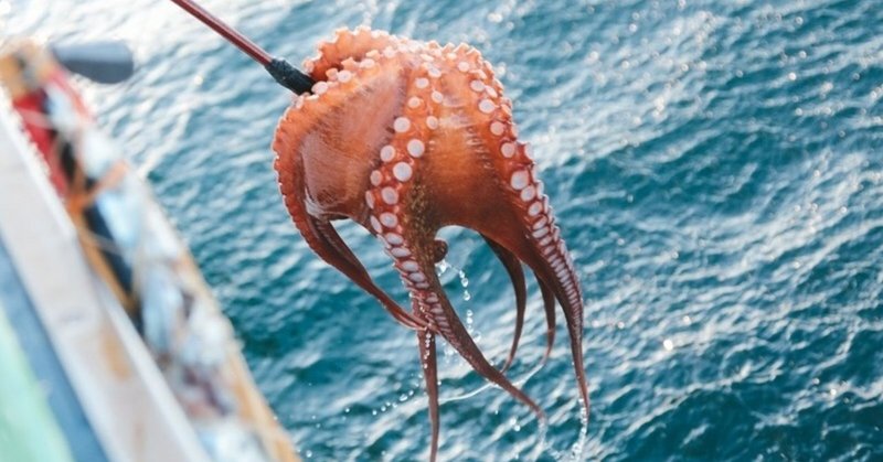 日記 タコけしマシンだけは売るな ひたちえぼ Note