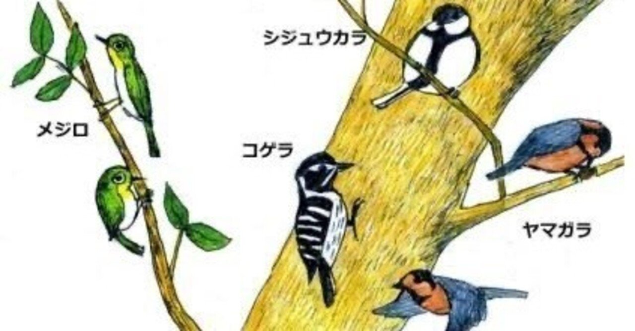 パナマモラ４点(向かい合う鳥他３点) パナマモラ4点(向かい合う鳥他3点)