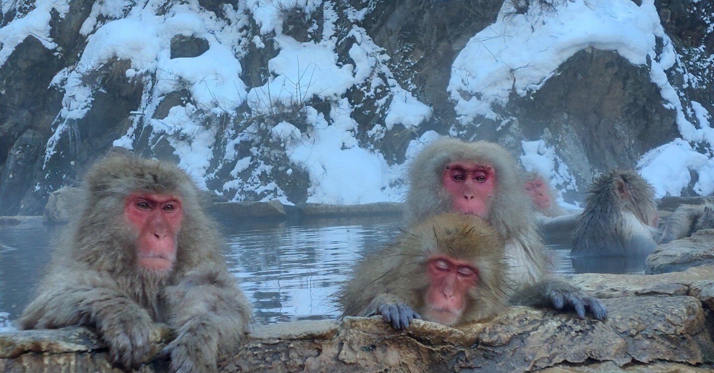 e01cc29d69460bb36a8e94c39accba