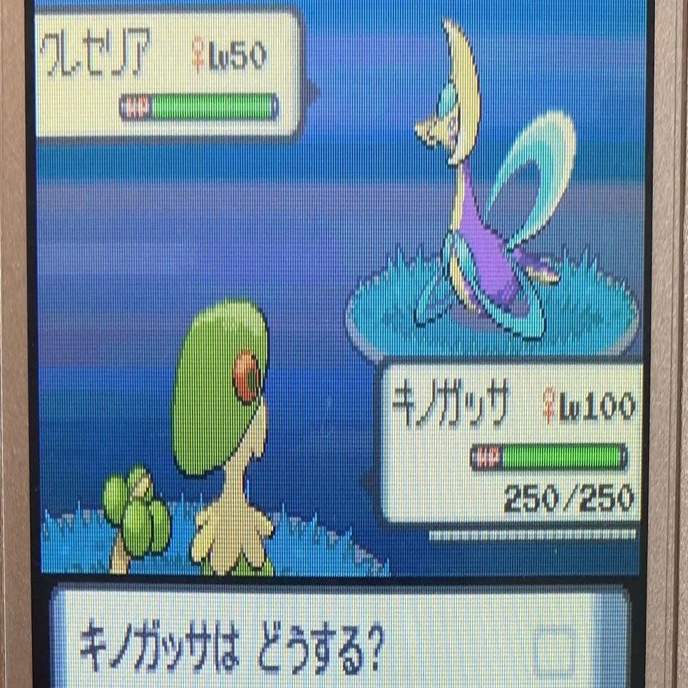 ポケモン ダイパ クレセリア乱数 必要なモノ エイプル Note