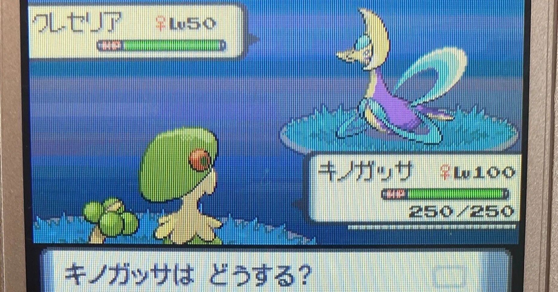 ポケモン ダイパ クレセリア乱数 必要なモノ エイプル Note ポケモン ダイパ クレセリア乱数 必要なモノ エイプル Note