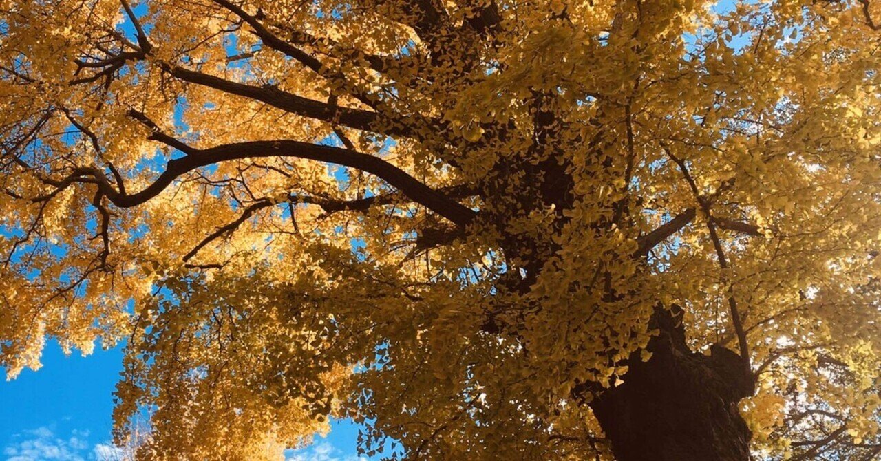 『倭の五王』を読んで、5世紀の日本について考えた話。｜ほんのよこみち