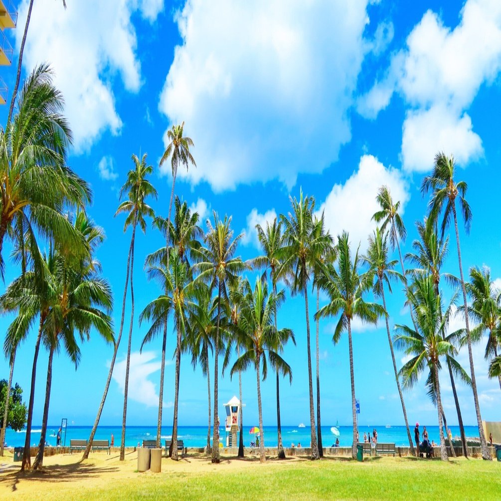 ハワイ・オアフ島】ホノルル空港とワイキキ市内ホテル・観光エリアの