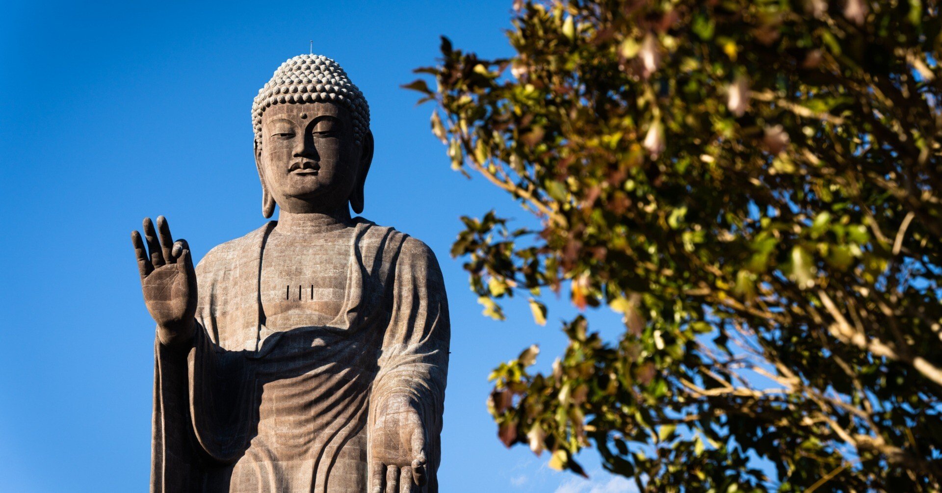 牛久大仏・河童伝説の沼に行ってきた｜まつげ人間