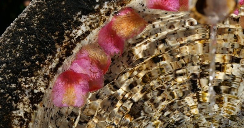 人間中心のａｉ社会原則 案 について カメラ を使って考えてみた Koyoko デザイナー Note