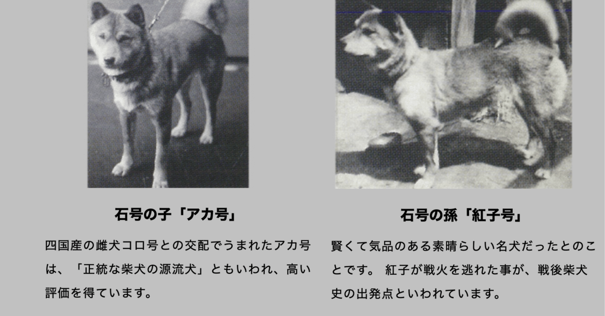 日本犬 (1972年) 日本犬 (1972年) | 広田 尚敬, 長倉 義夫 |本 | 通販 | Amazon