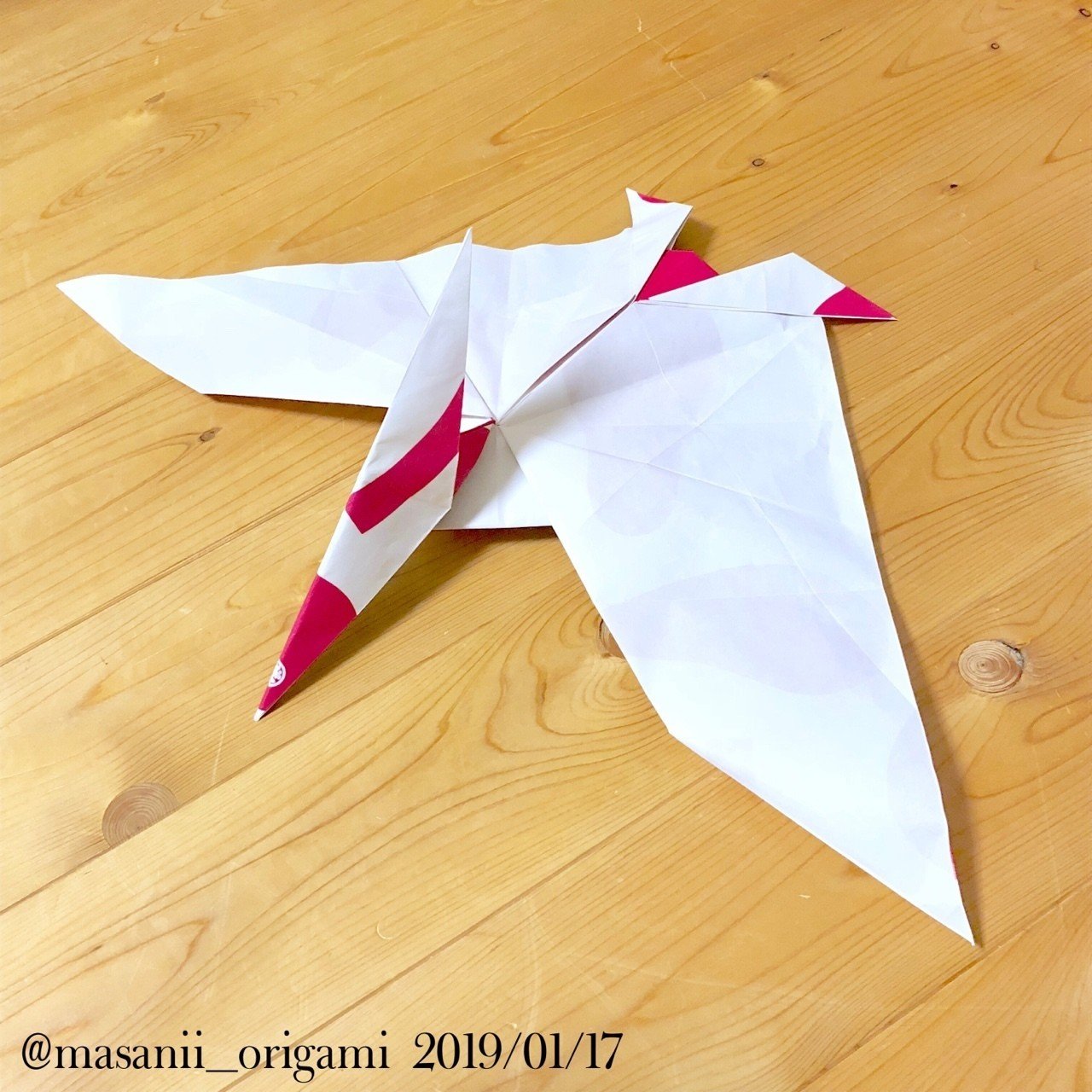 プテラノドン第２弾と 折り紙と関係ない 収斂進化 の話 まさにぃ Note