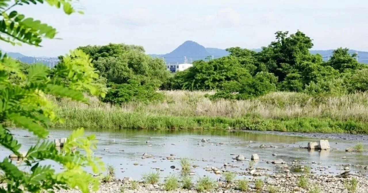栗 の 木 公園