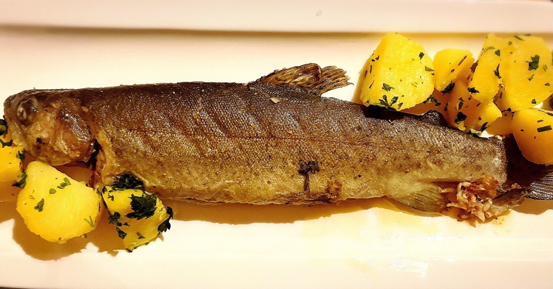 Plmuqvqzqvw6m Plmuqvqzqvw6m