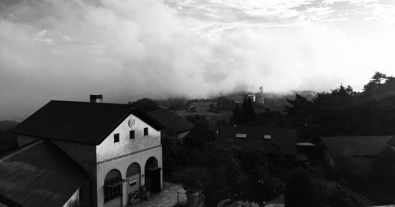 Shiryu ヘラルボニーの記事一覧 Note ノート