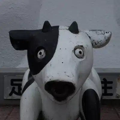 波平舞子