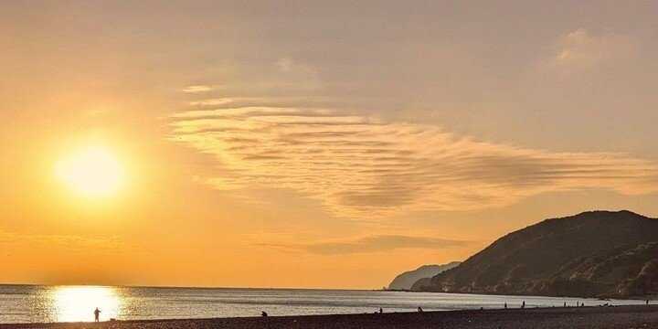 HIGA_1995              HIGA_1995