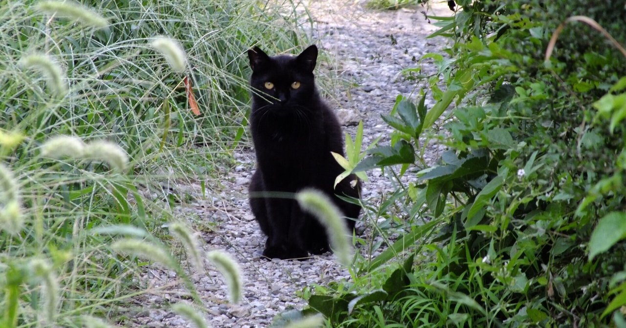 災害の多様性「関東大震災から100年」 1