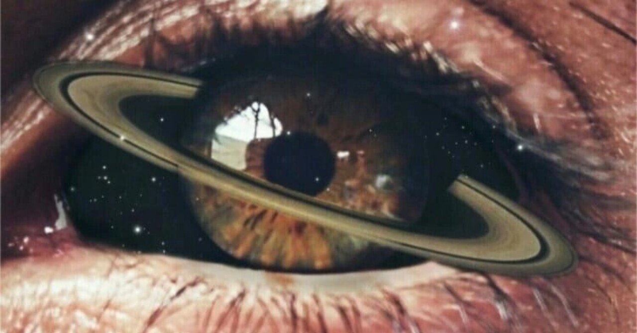 星尚様　　　奴隷クマ Lisa Larson リサラーソン Skansen スウェーデンの動物園 クマ