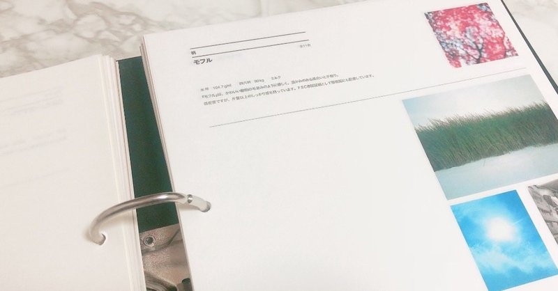 紙が好きすぎて適当な紙が嫌い トイ Note