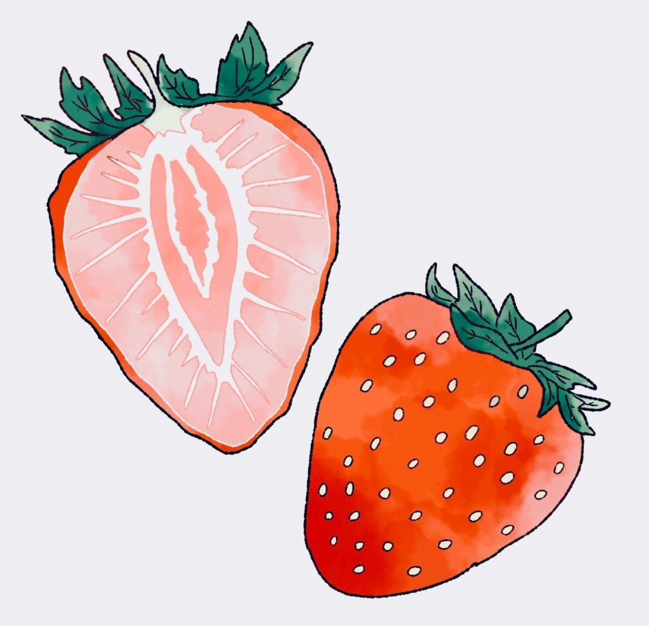 いちご を描きました 471 Note いちご を描きました 471 Note